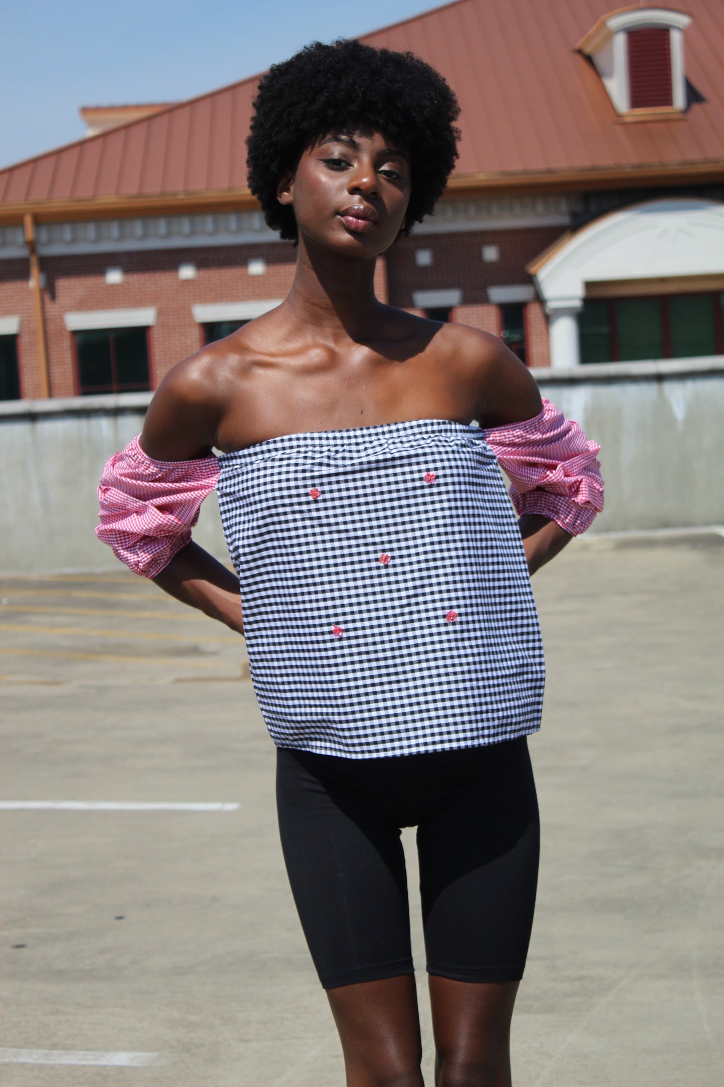 Gingham Sequin Butterfly Top