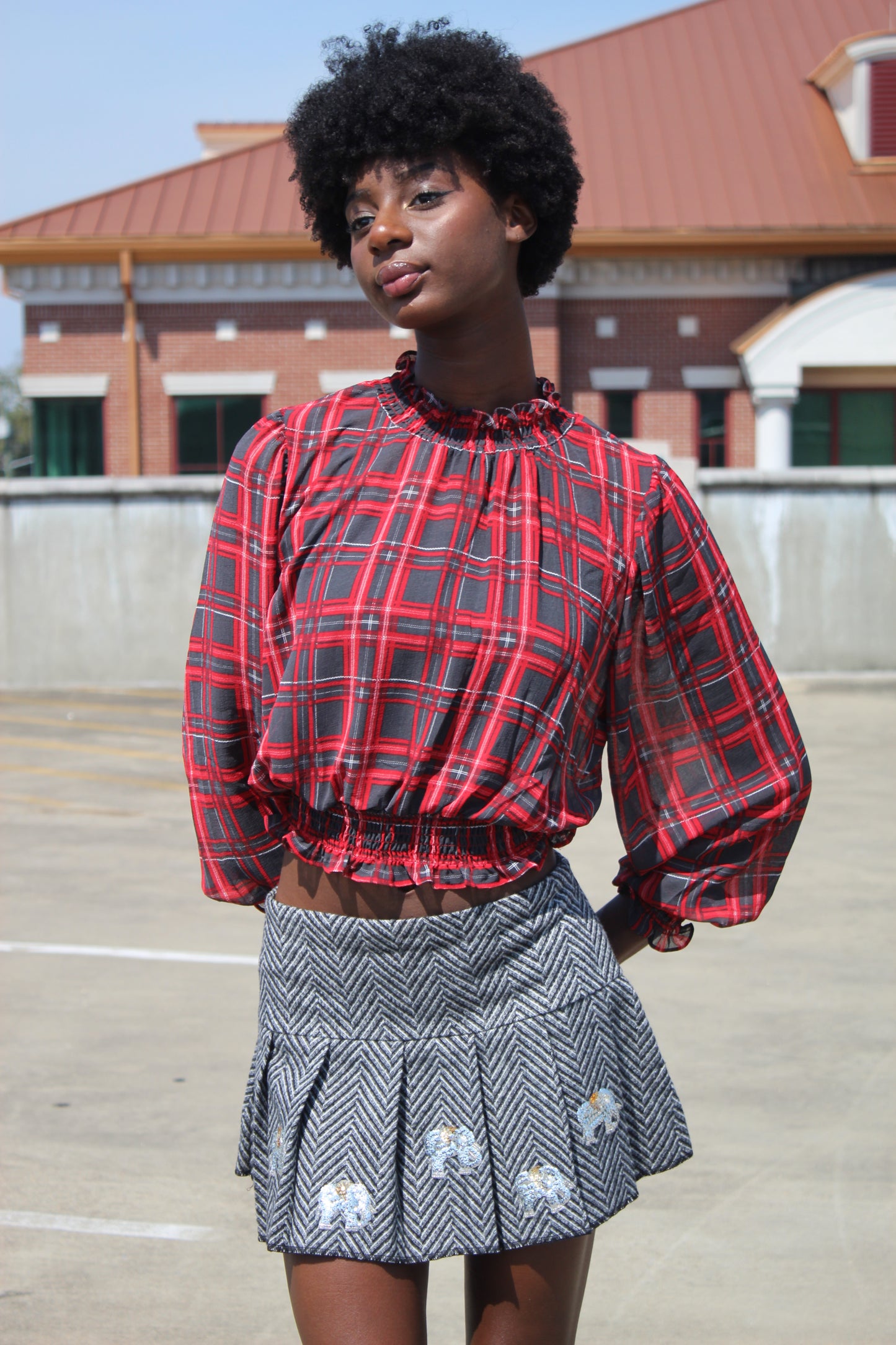 Sheer Plaid Long Sleeve High Neck Top