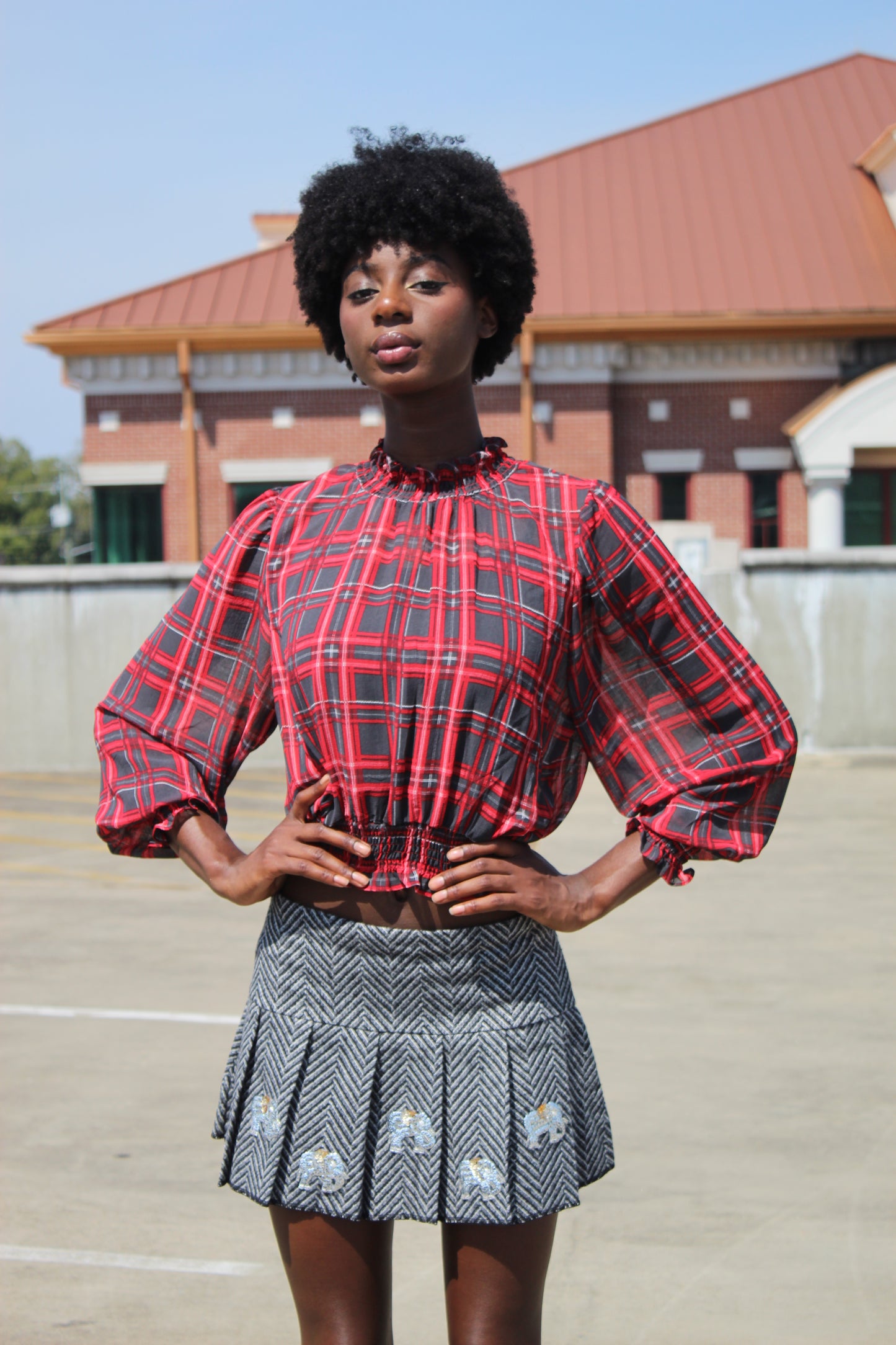 Sheer Plaid Long Sleeve High Neck Top