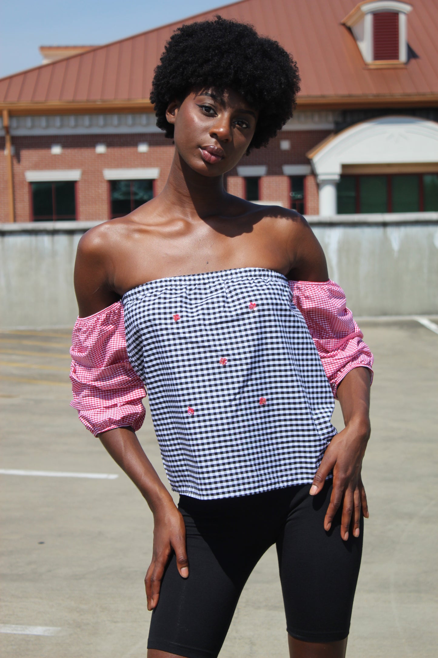 Gingham Sequin Butterfly Top